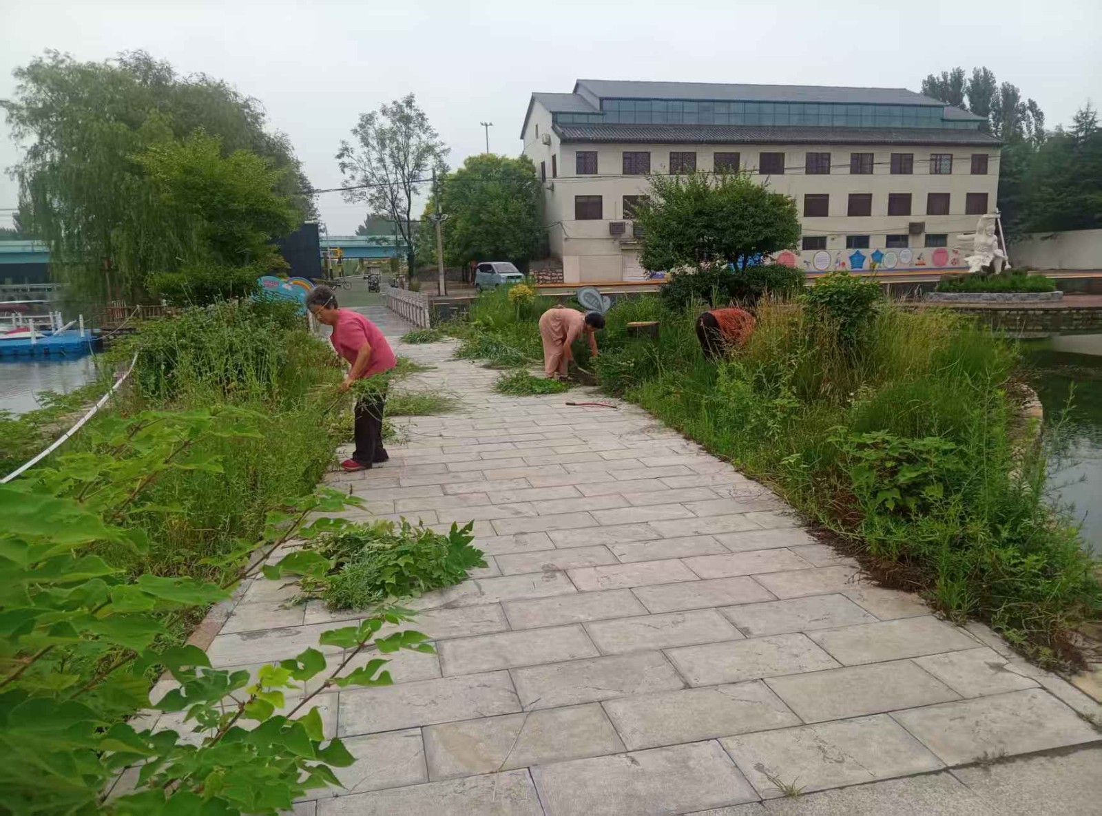 微信图片_20260714091435_9698_1