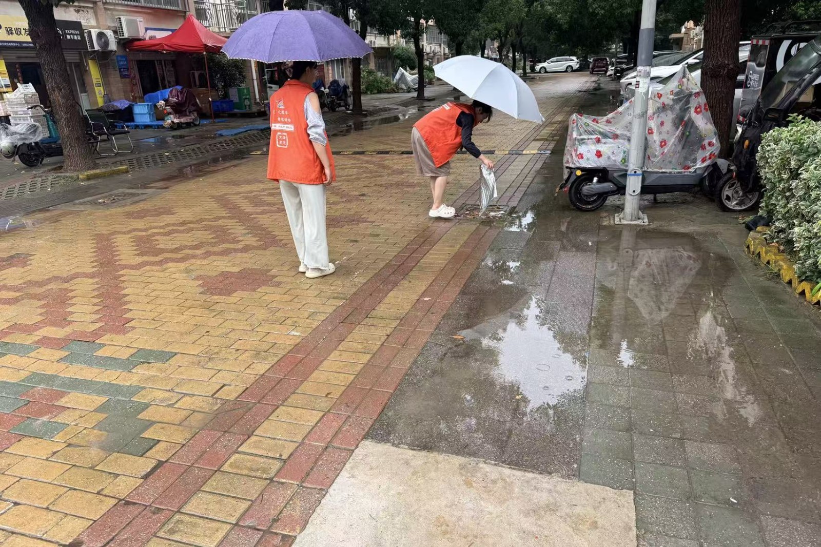 微信图片_20260715105616_4336_37