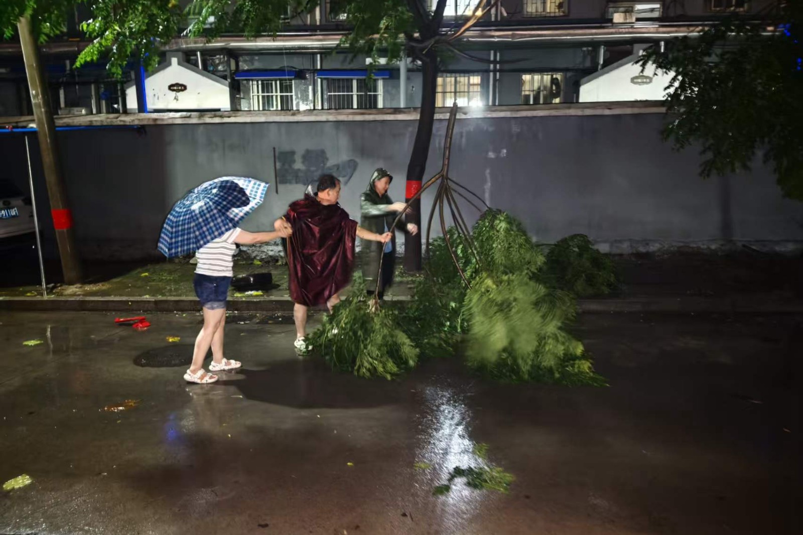 微信图片_20260716110858_9913_6_副本