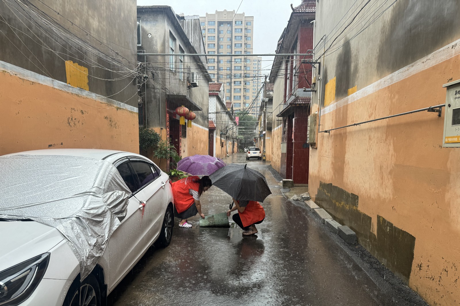 岗子东