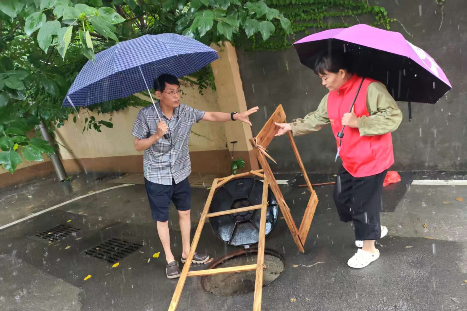 弘道安居