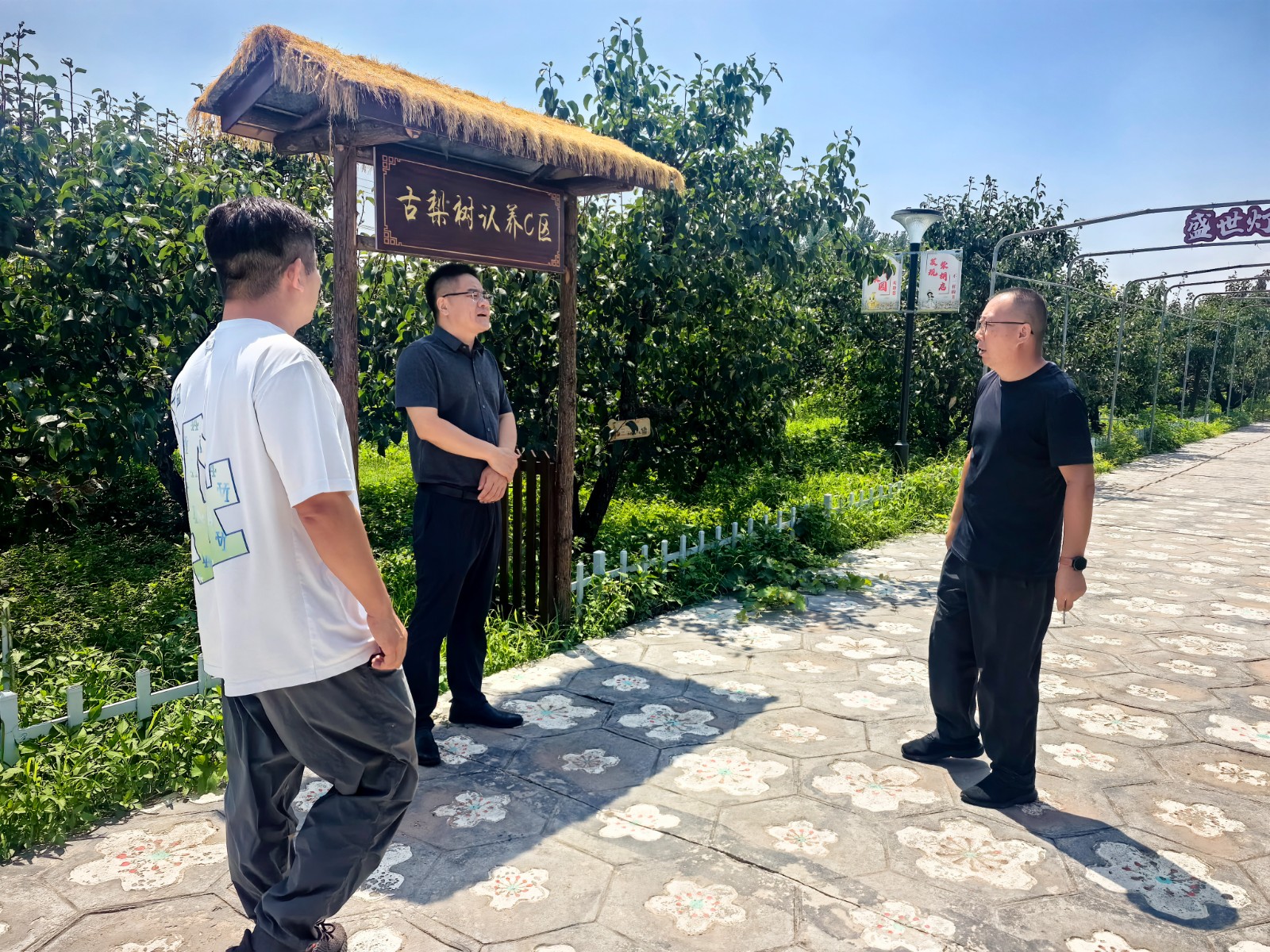 微信图片_20260720105837_10257_1
