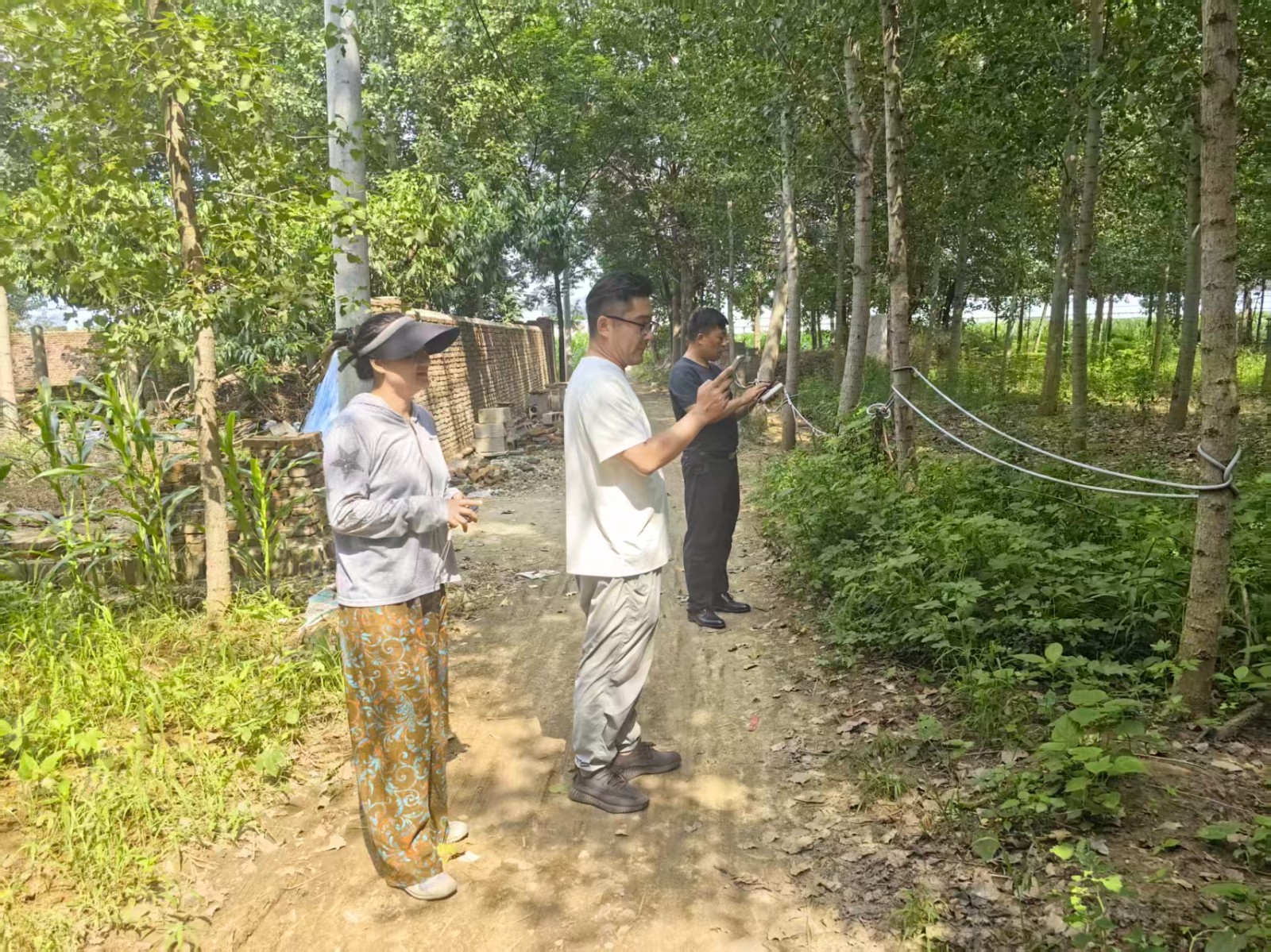 微信图片_20260721150304_10503_1