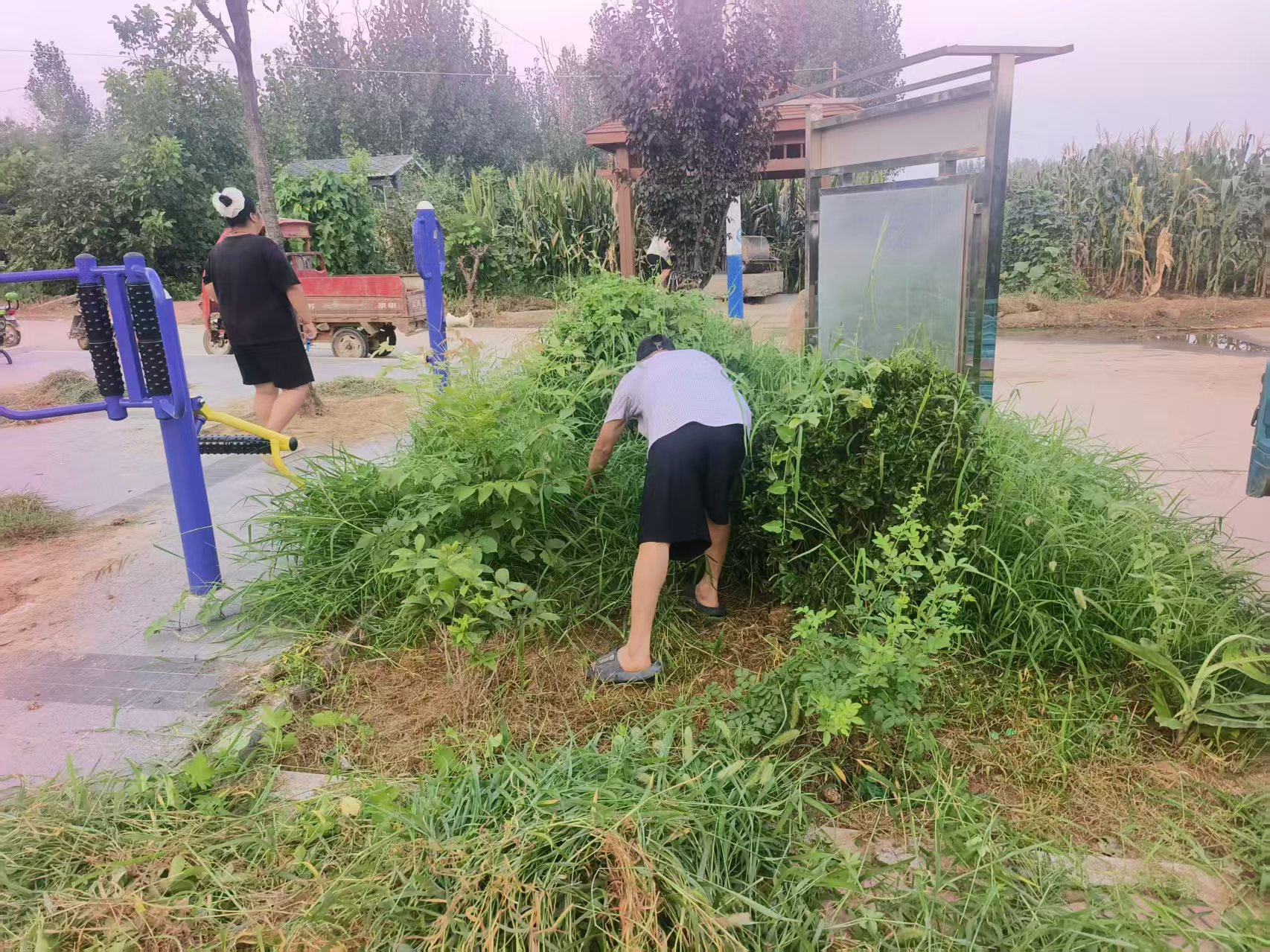 图片54