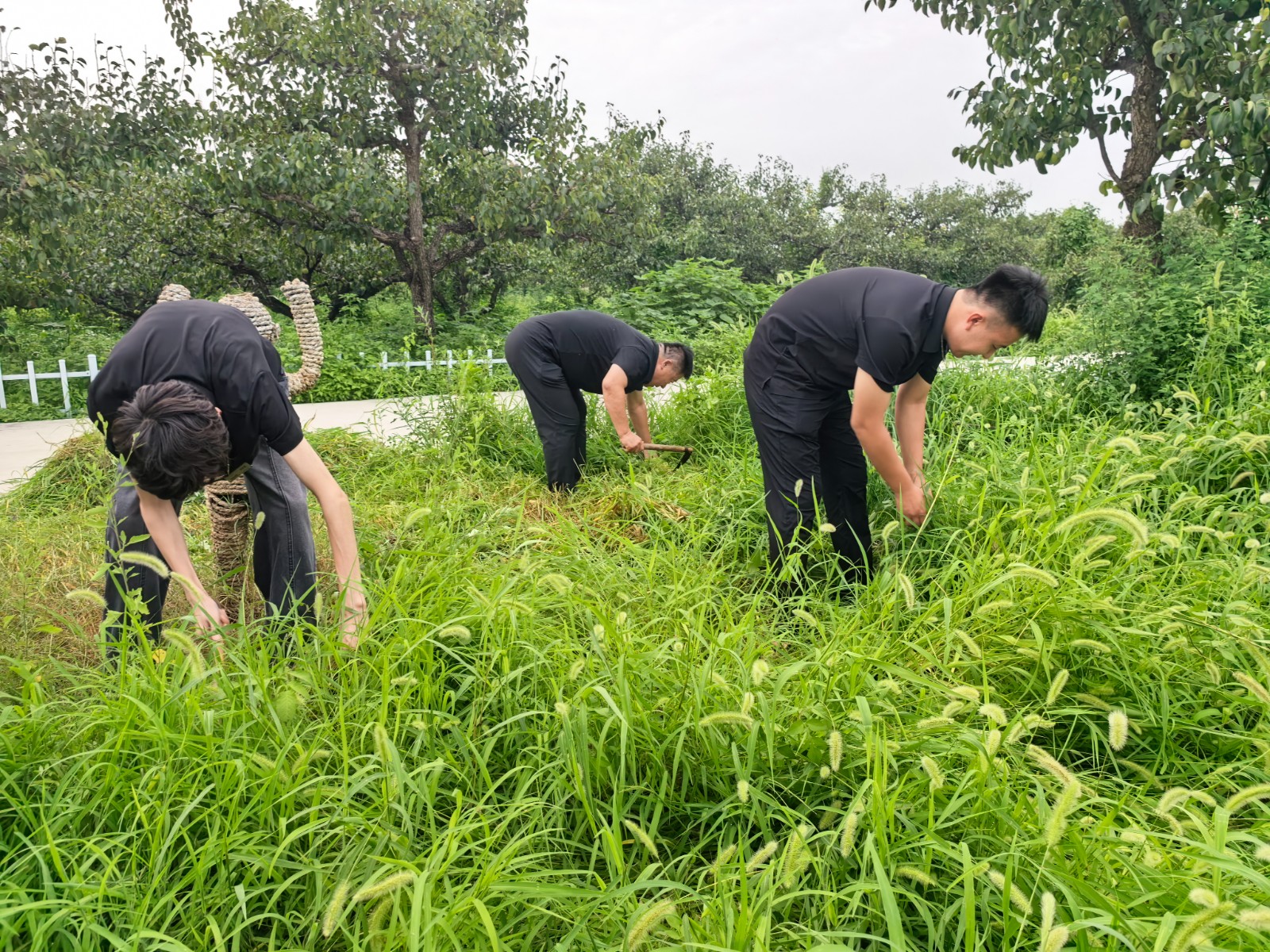 微信图片_20260728165739_278_4
