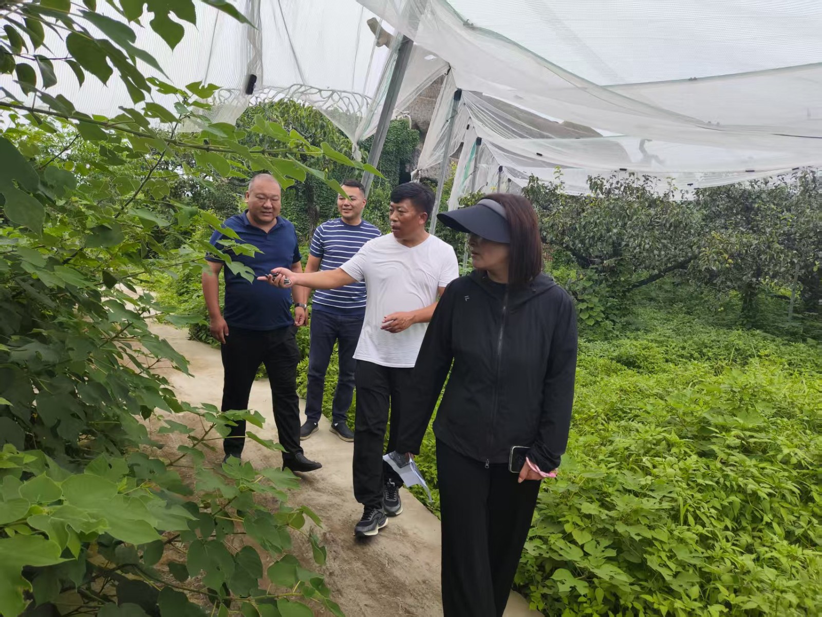 镇领导孙彦固到梨园查看活动现场。