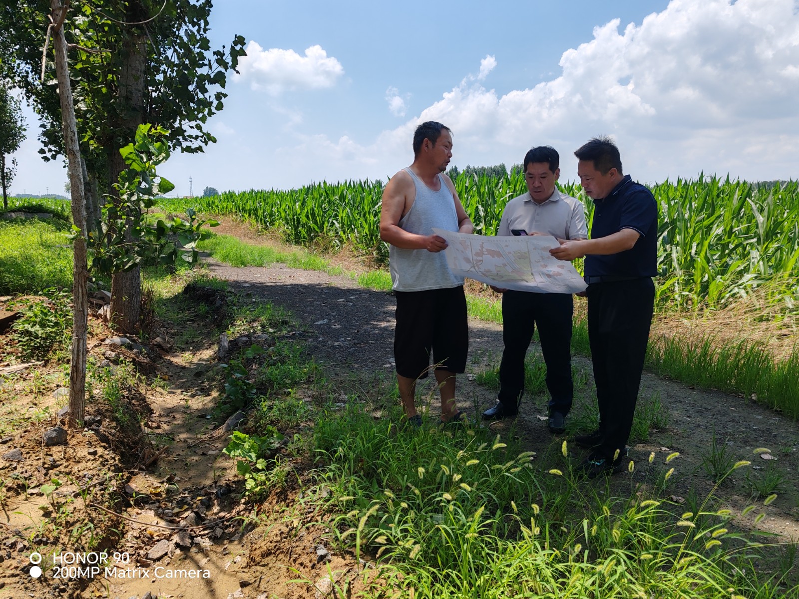 市农业局卜来我镇督导高标准农田整改工作。镇领导孙彦固陪同。