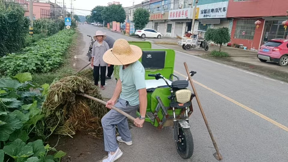 常态化开展人居环境整治工作。