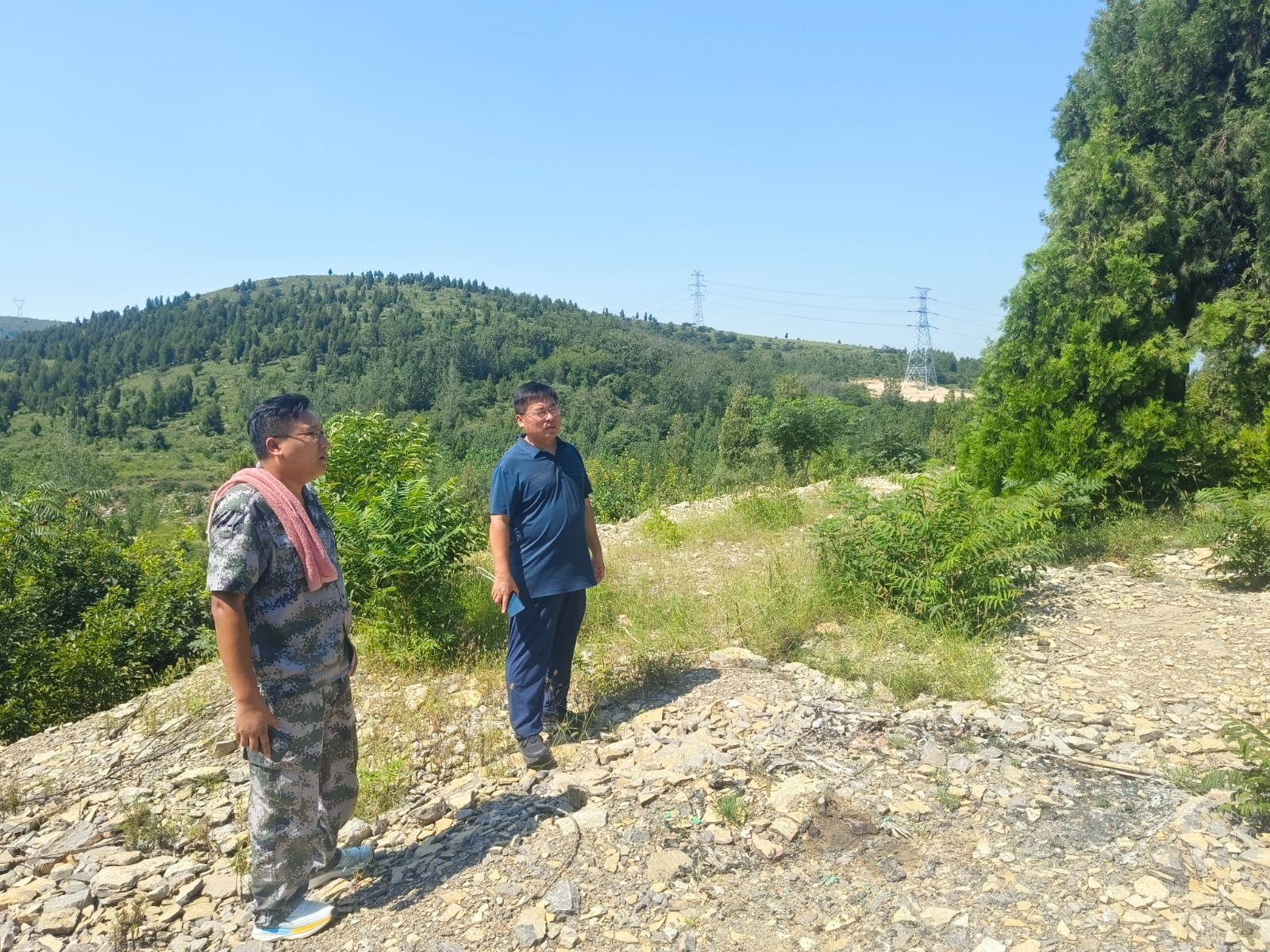 镇领导胡雷到东部山区开展山体保护巡查。