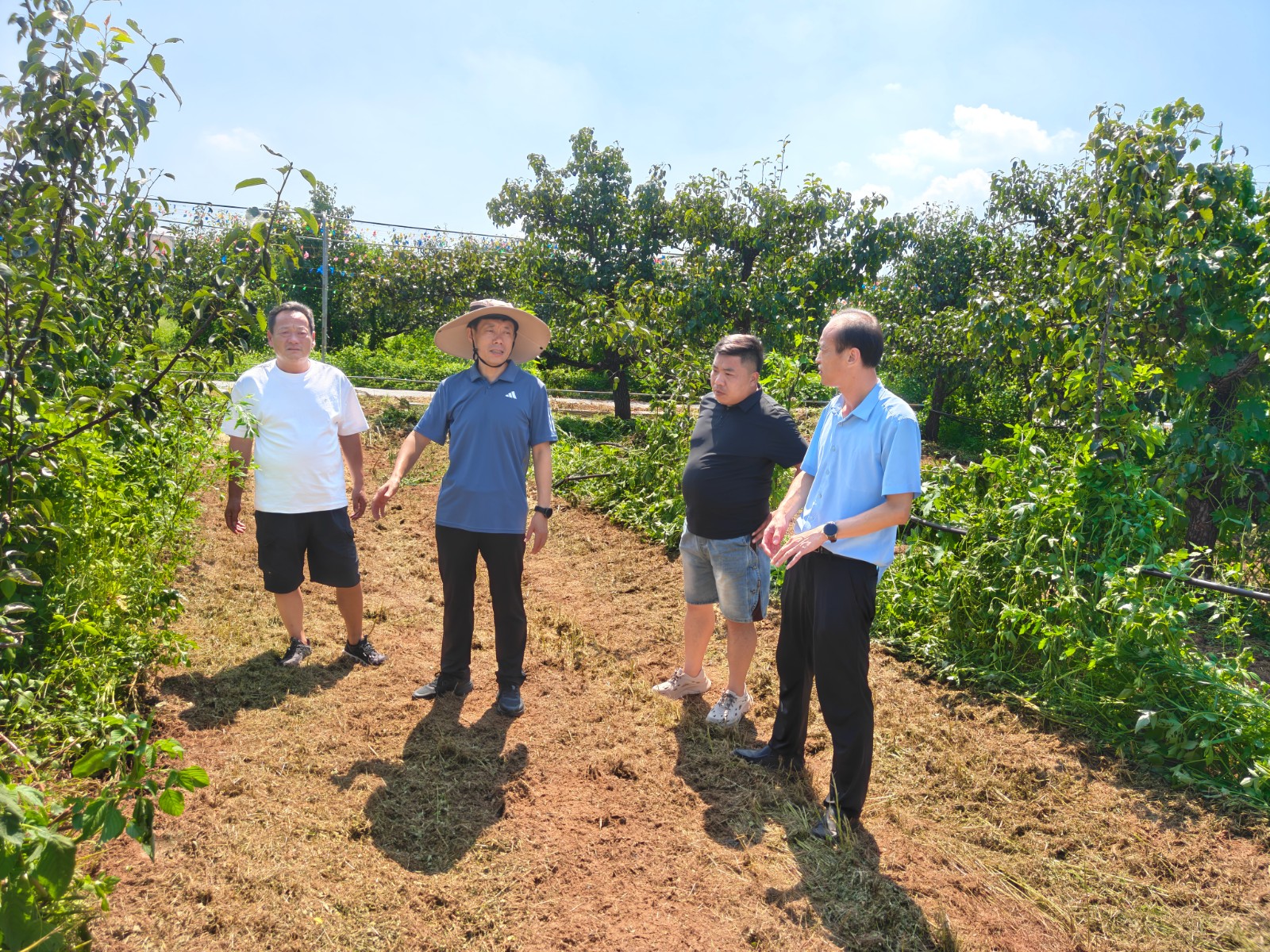 镇领导邓荣迎到梨园督导“党群共建