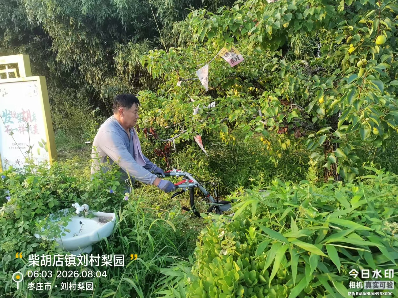 微信图片_20260804060549_11996_1