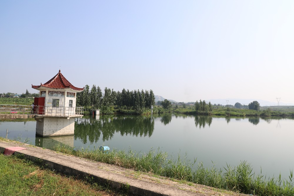 图片13