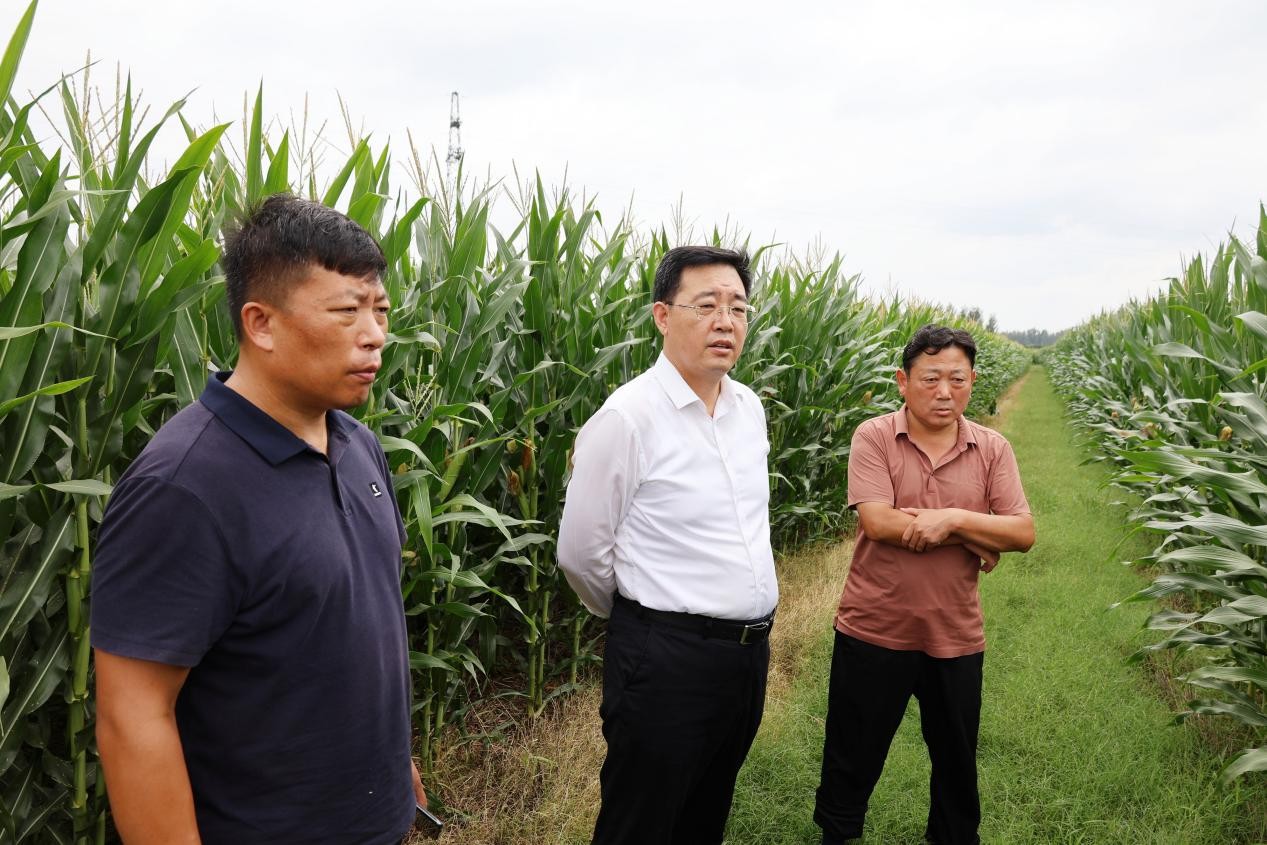 镇党委书记孔维刚督导高标准农田设施管护工作，镇领导孙彦固陪同。