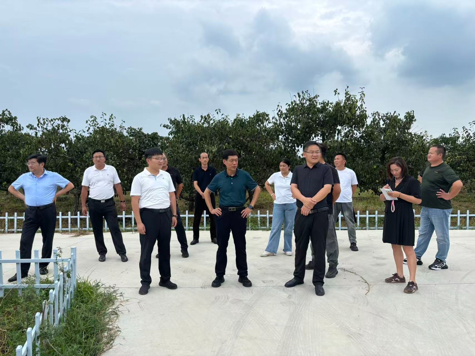 镇领导邓荣迎、吕士曦、李铭镇、张强到古梨园开展“党团共建，守护梨园”活动验收工作，各管区负责人等参加活动。2