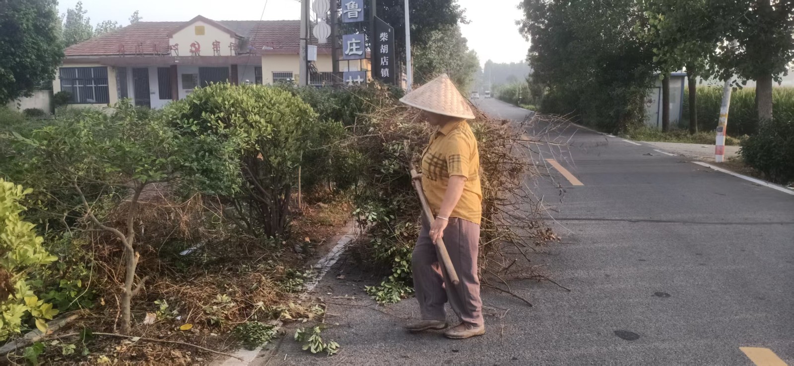 微信图片_20260818084501_13082_1