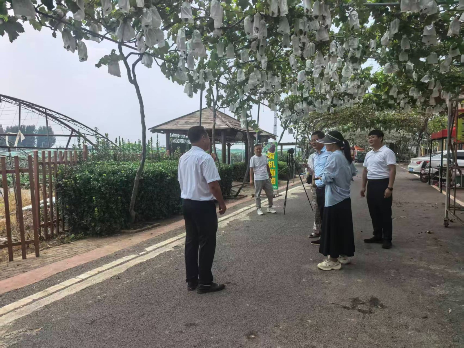 微信图片_20260818121418_13152_1