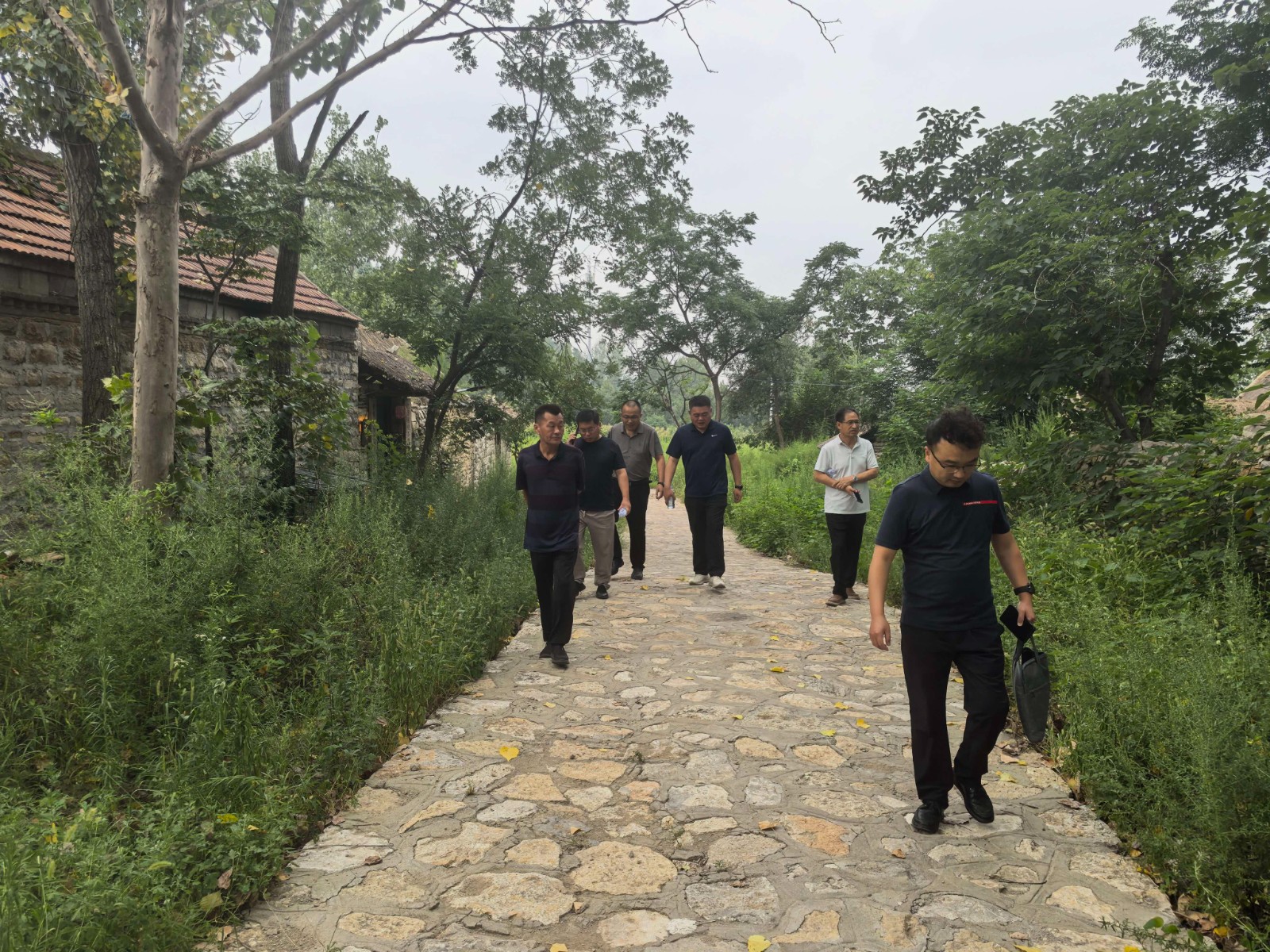 市住建局、财政局、市规划编制研究中心等到葫芦套老村对传统村落进行联合检查,镇领导胡雷陪同