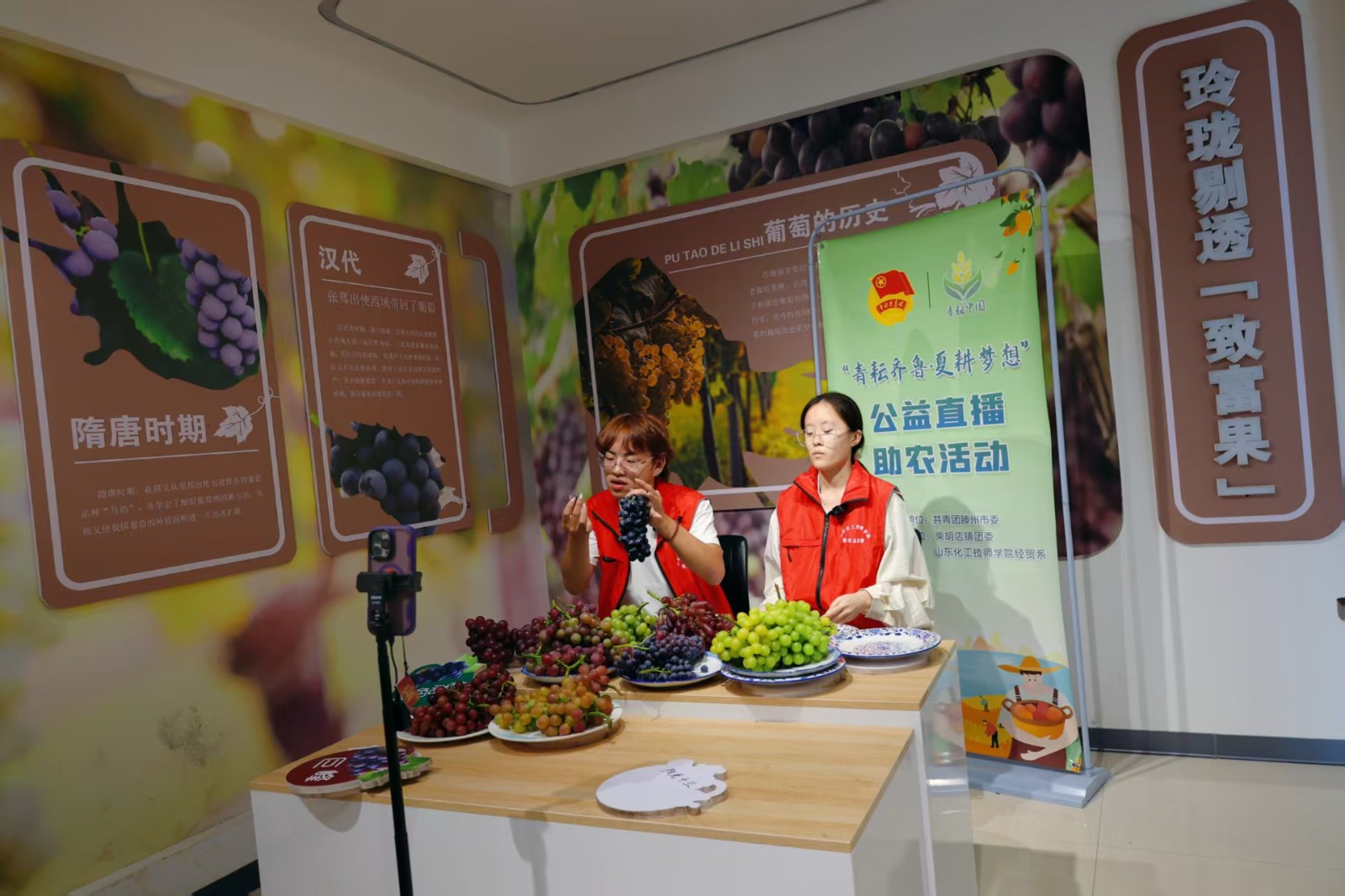 柴胡店镇第十届葡萄采摘节正式开幕