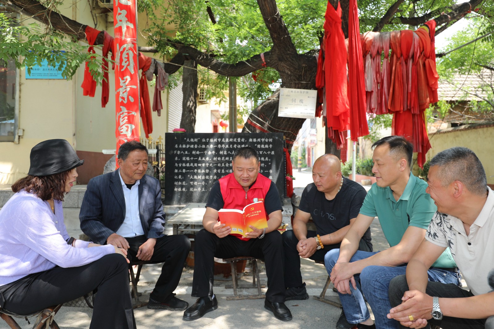 董村老槐树宣讲