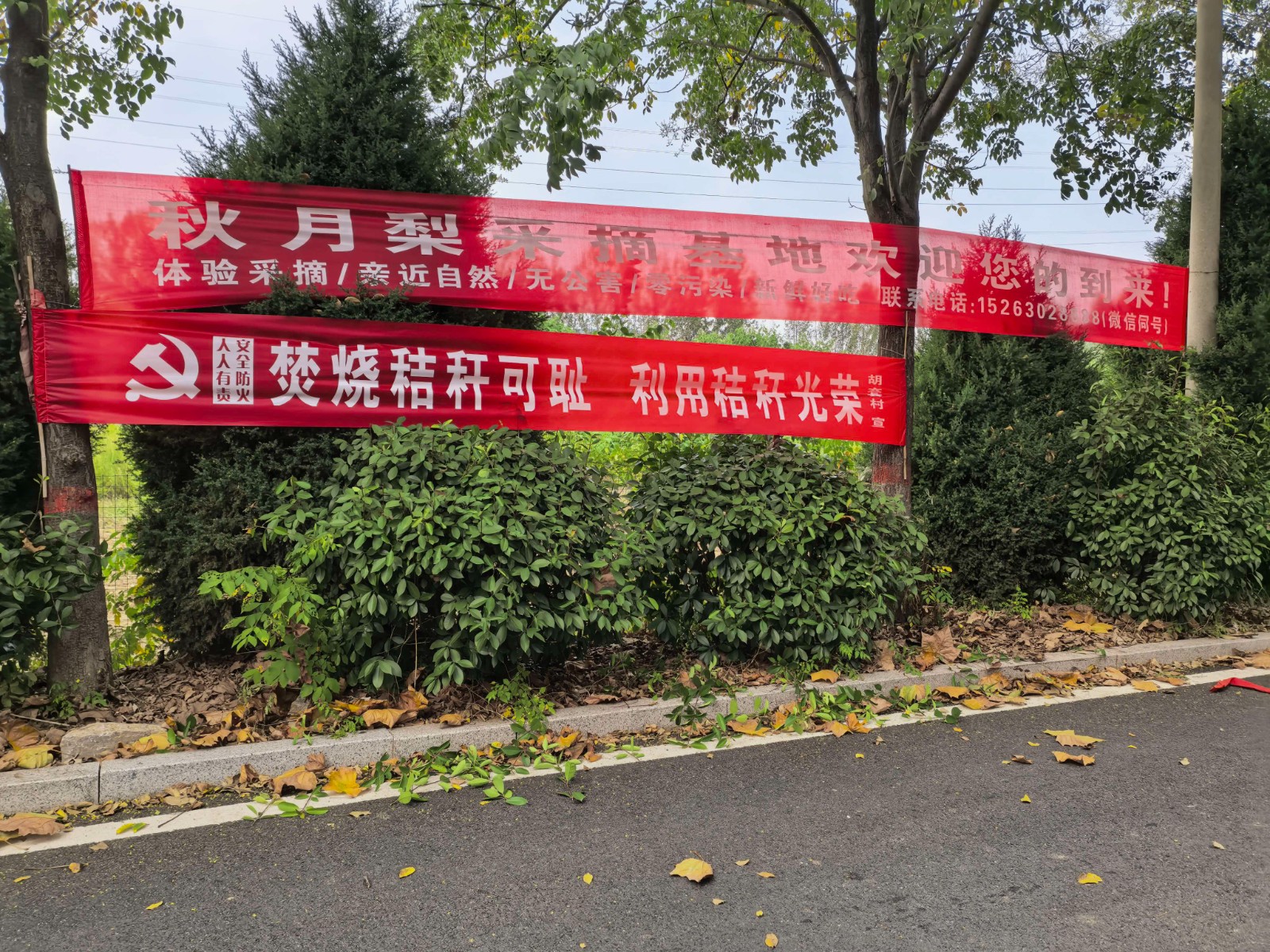 柴胡店镇开展三夏安全生产工作