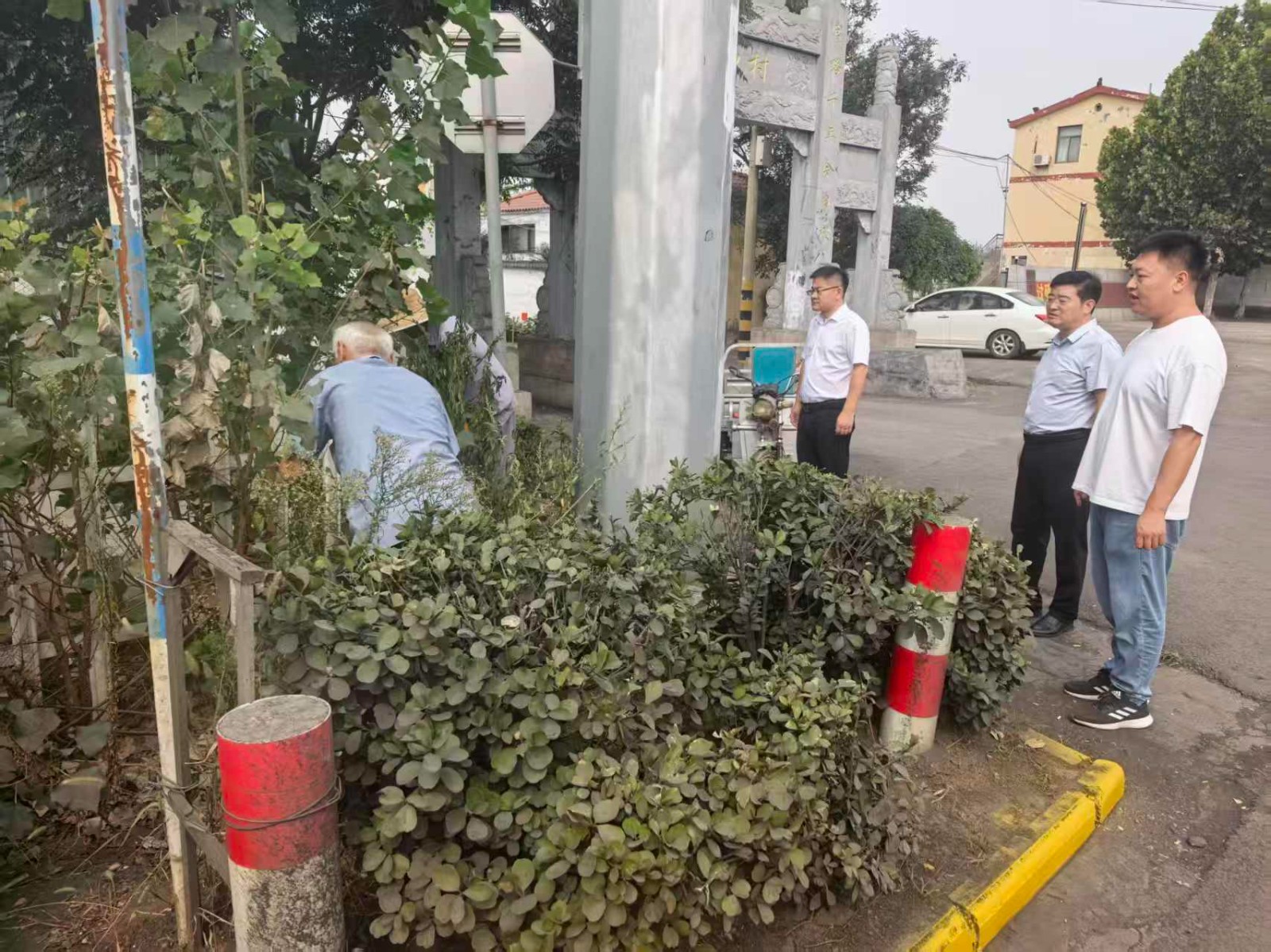 镇领导吕士曦、张强督导路域环境整治