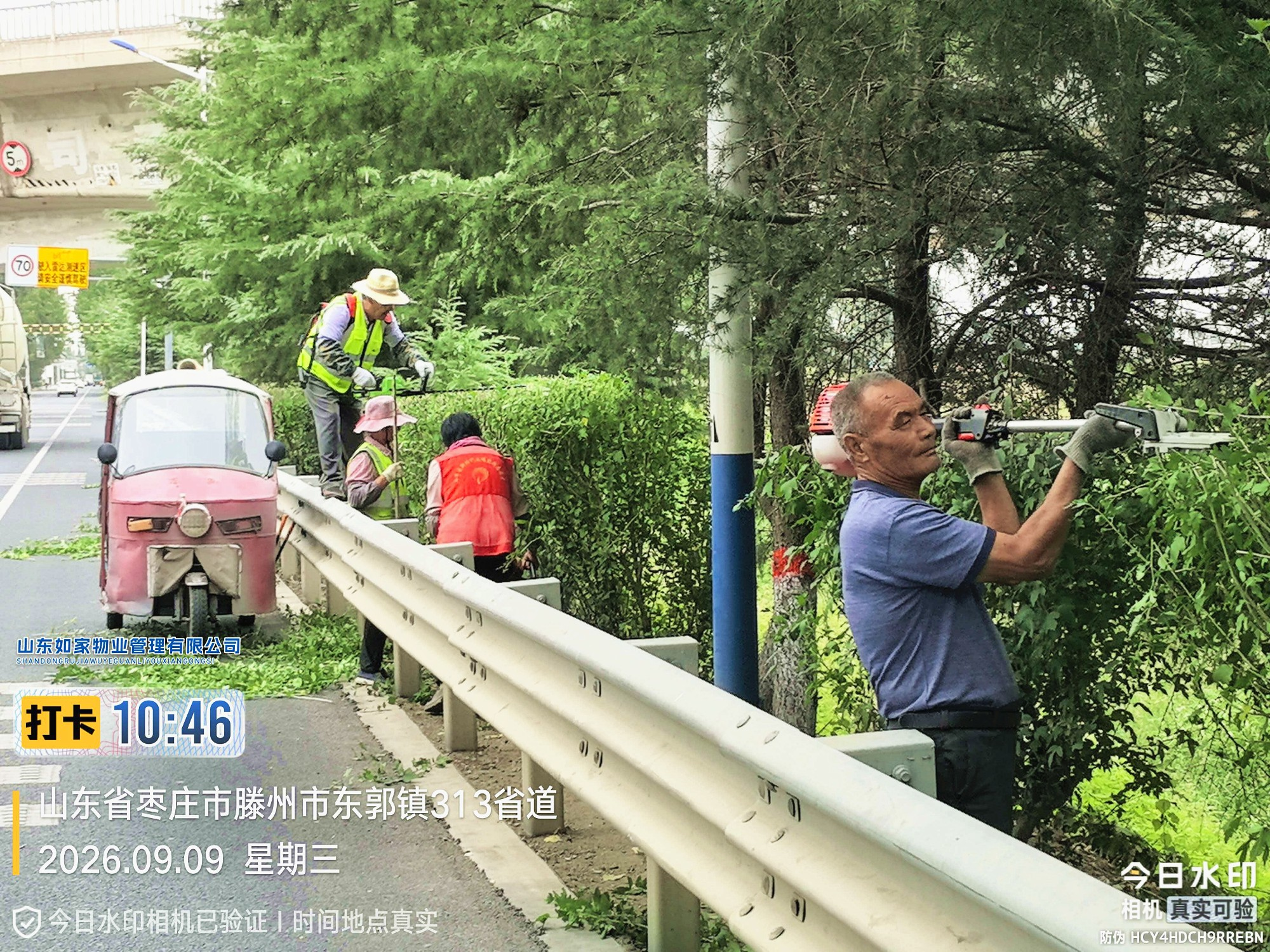 图片59