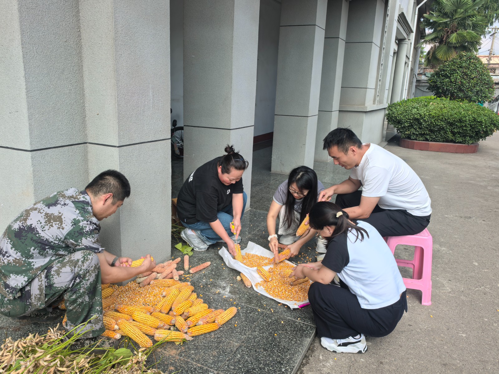 微信图片_20260929143932_16747_1