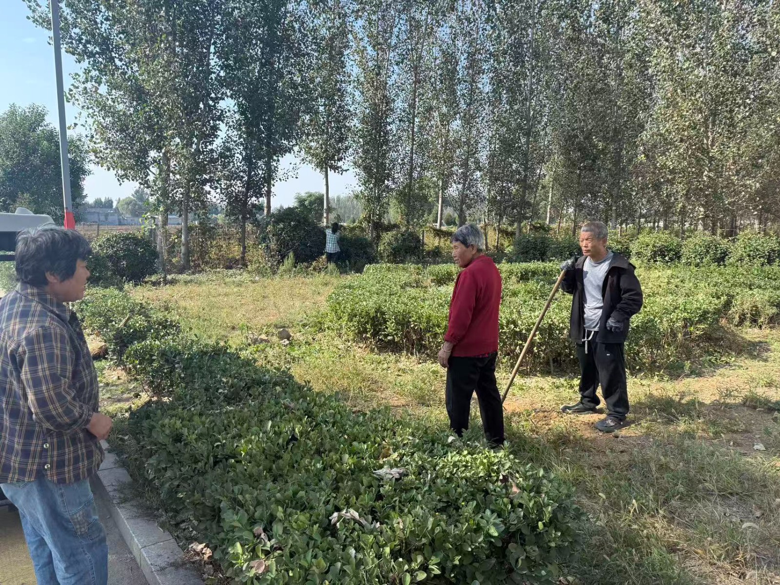 微信图片_20261010145151_547_43