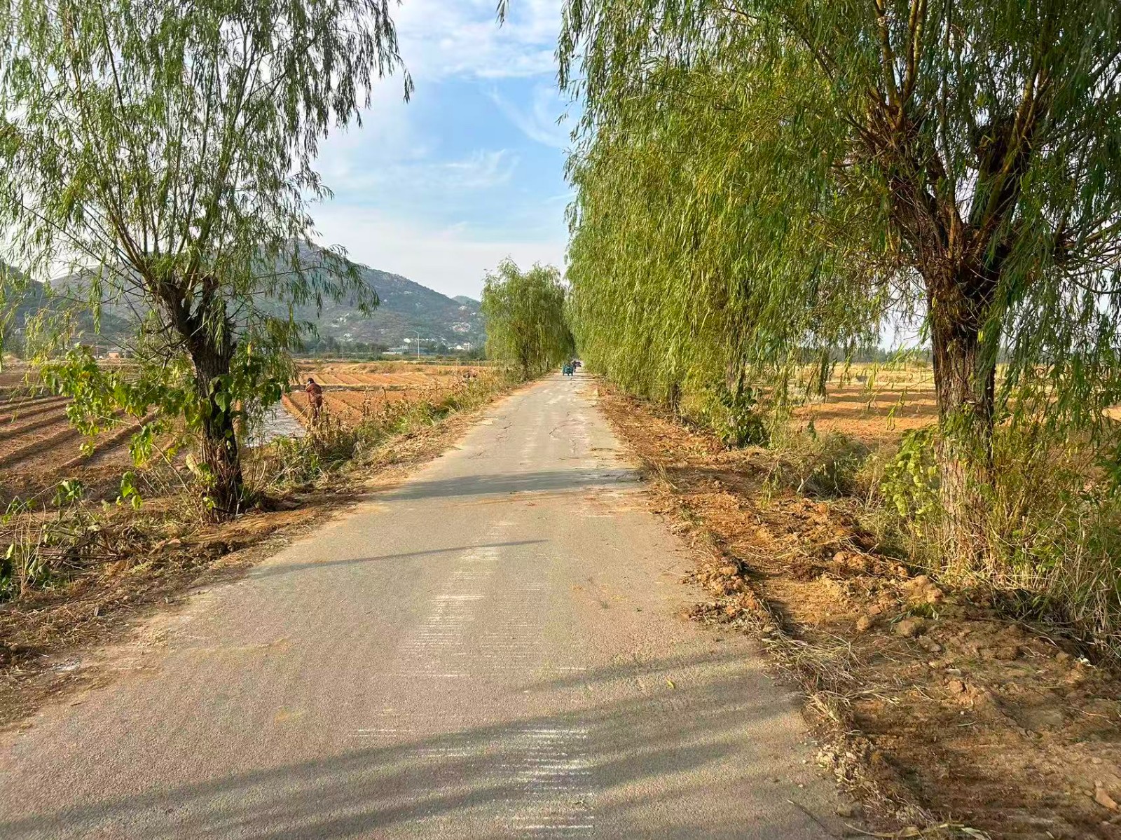 微信图片_20261012163357