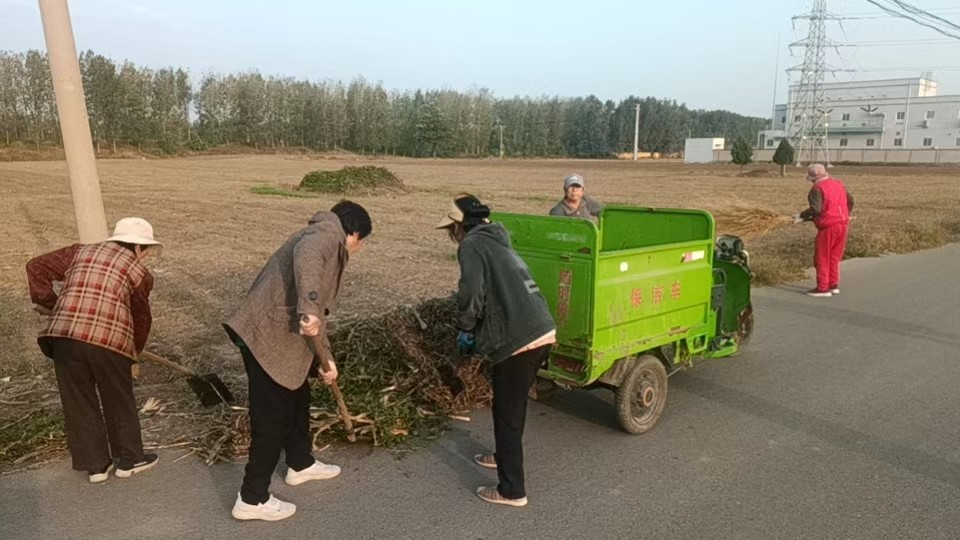 常态化开展人居环境整治工作。