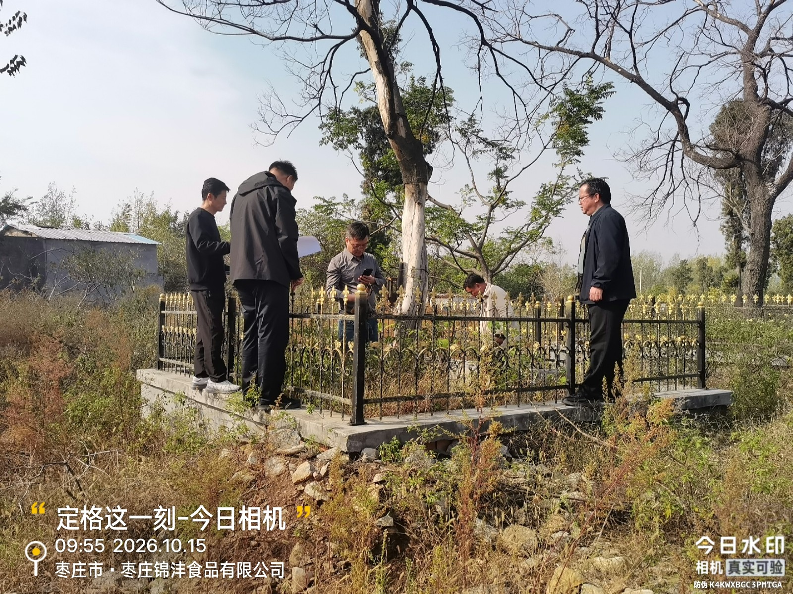 市林业事业发展中心古树签订组到我镇进行检查，镇领导邓景文陪同。