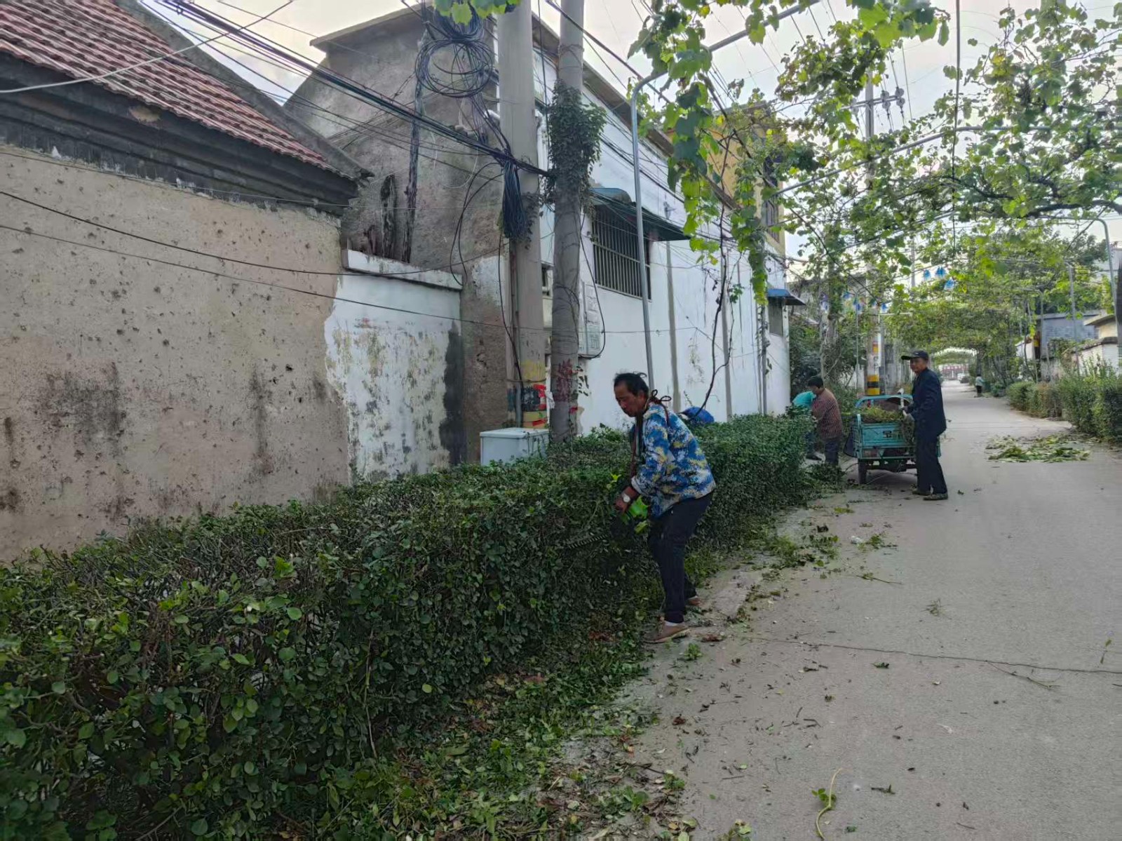 微信图片_20261024115543_119_43