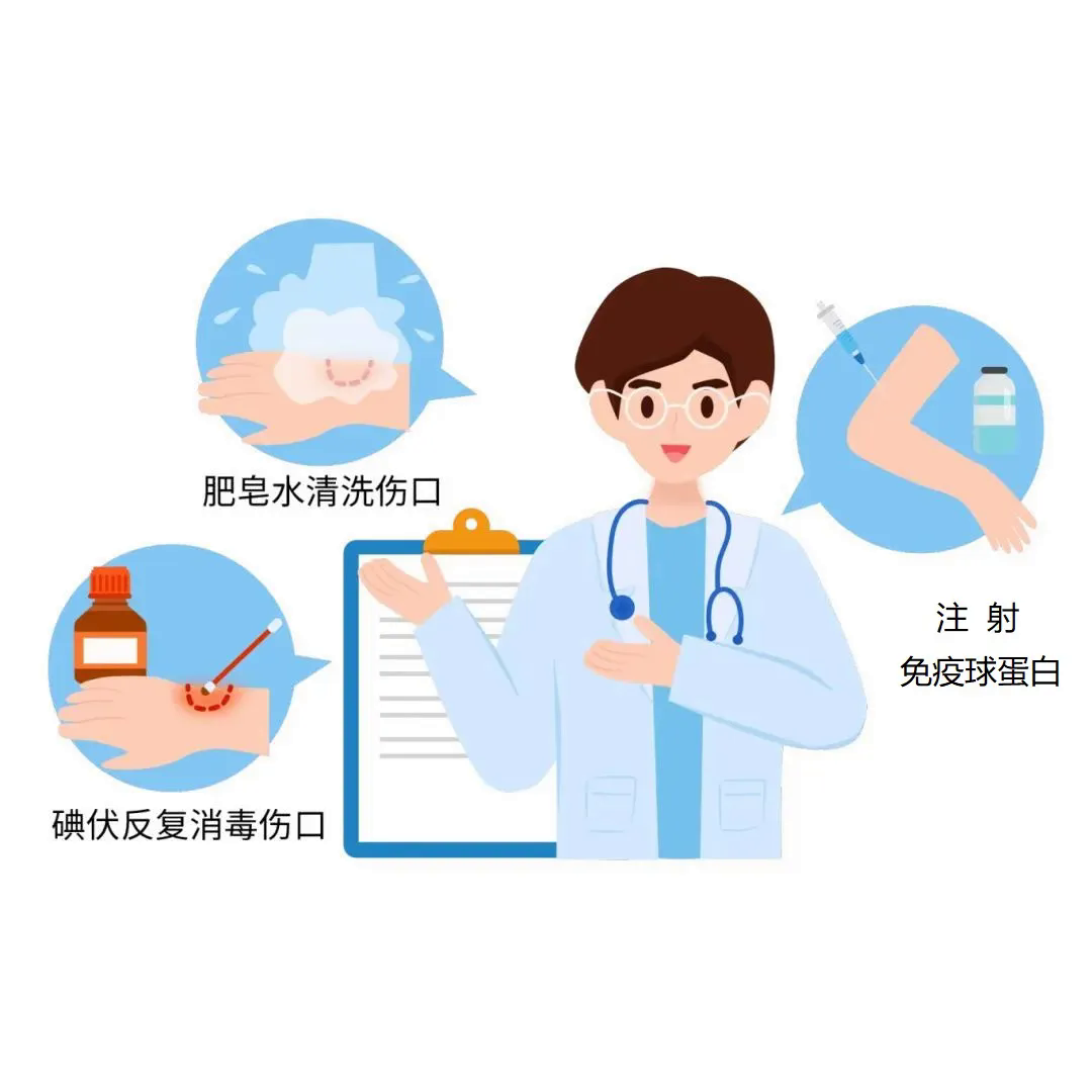 千库网_狂犬病的处理治疗_元素编号13455116.png
