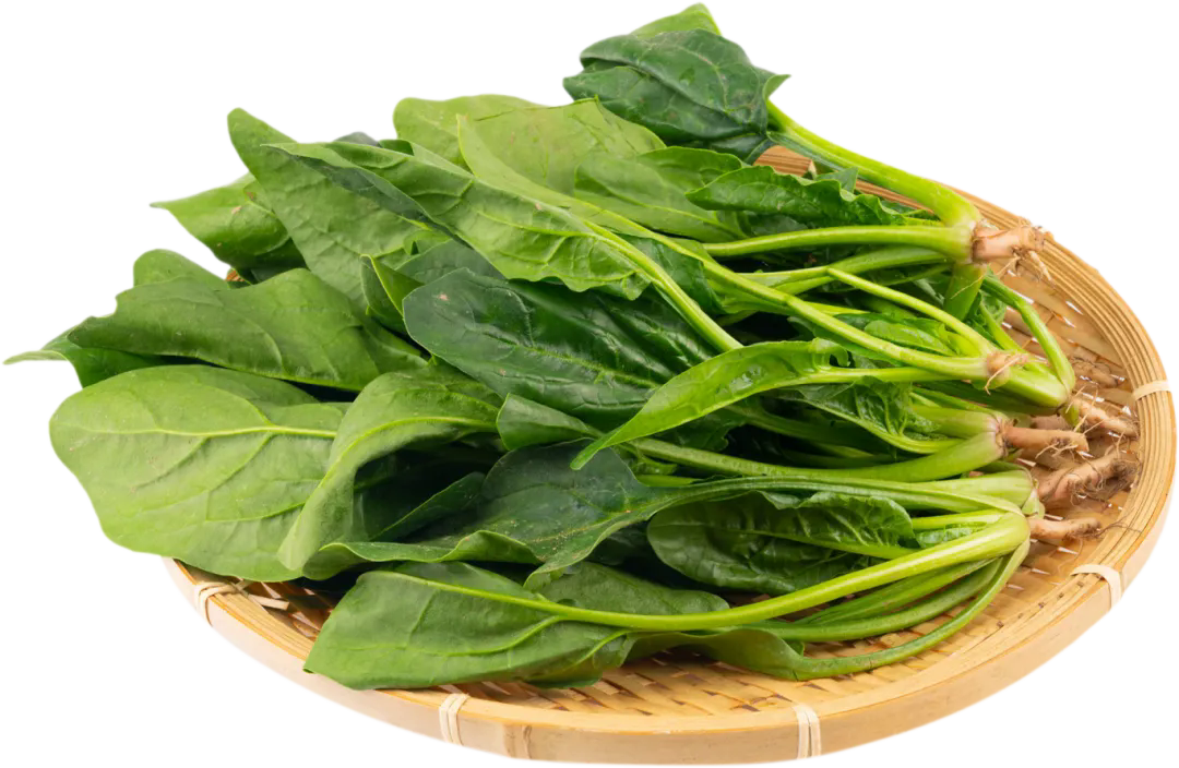 千库网_有机蔬菜青菜菠菜_元素编号13368874.png