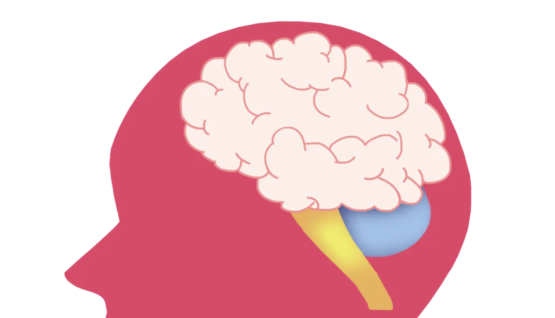 千庫網(wǎng)_大腦粉色智力免扣手繪素材_元素編號11965880.png