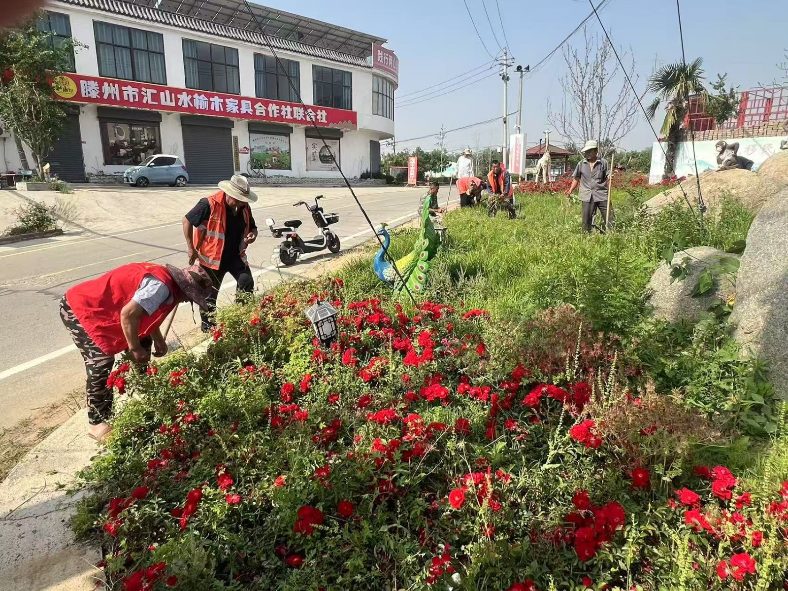 微信图片_20250519111426