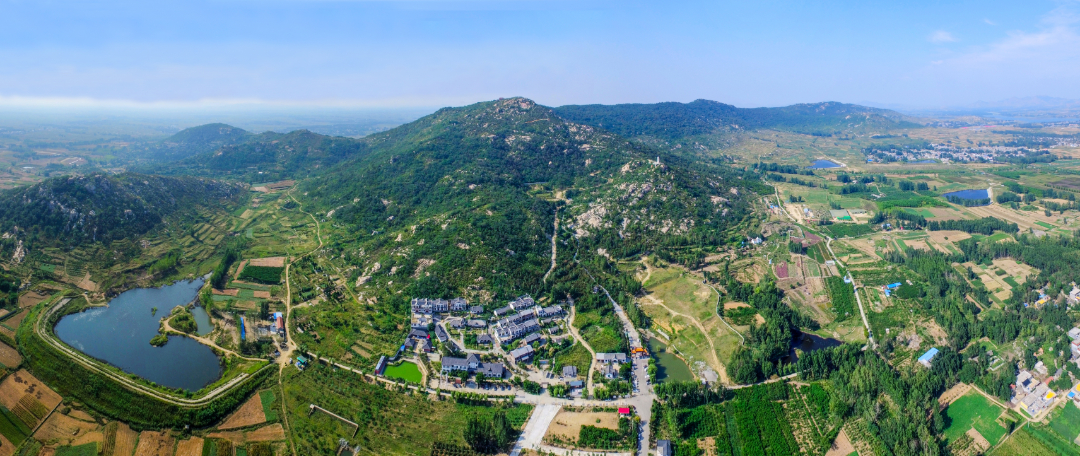 龙山全景.jpg