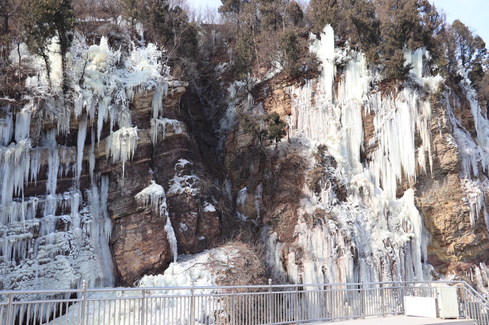 微信图片_20260209123438_525_12