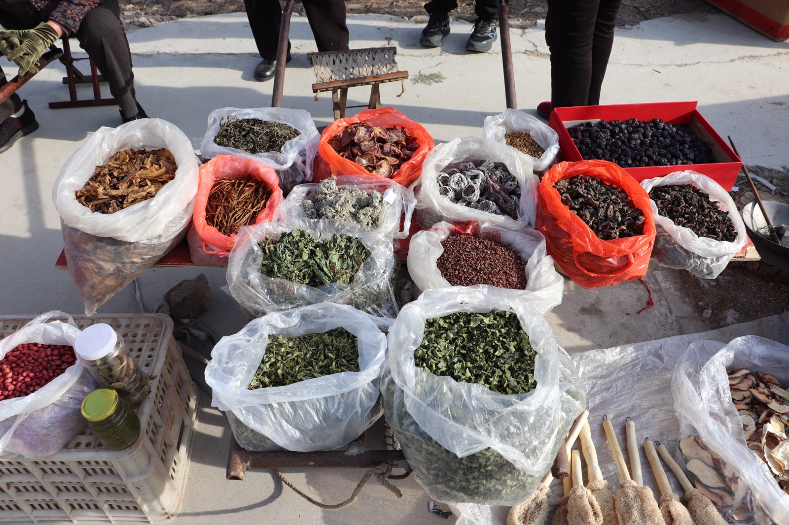 微信图片_20260209123441_527_12