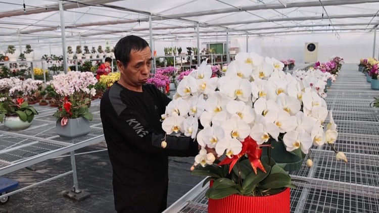 好生街道：花卉产业强发展