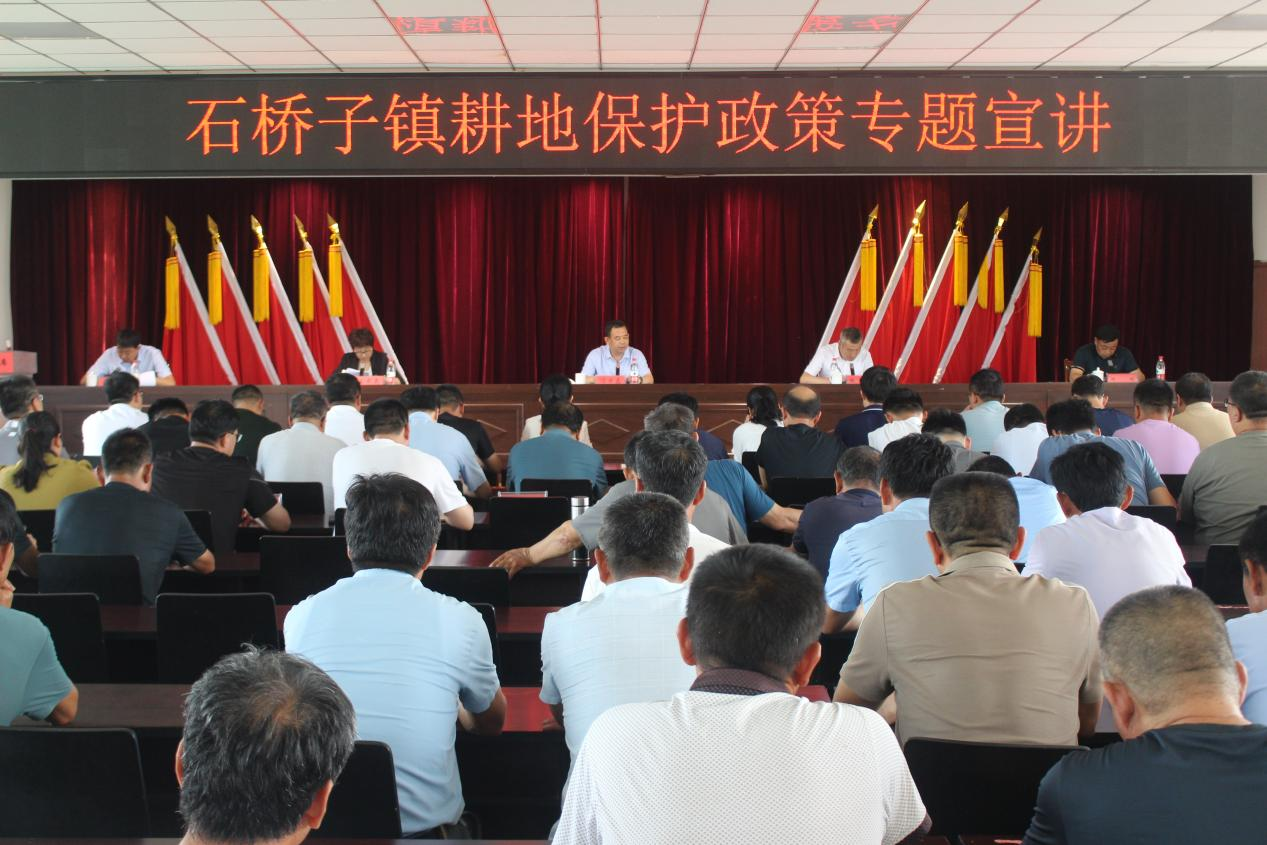石桥子镇举办耕地保护政策专题宣讲活动