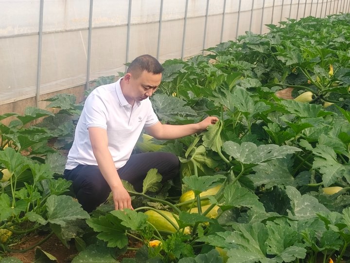 微信图片_20250523104603