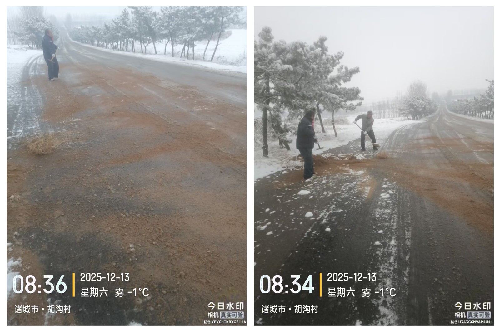 微信图片_20251213091038_103_12