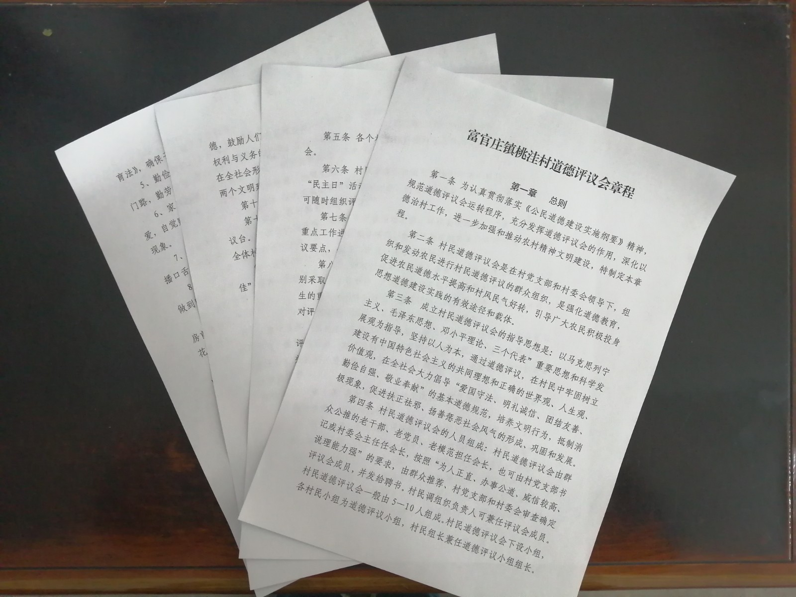 道德评议会章程