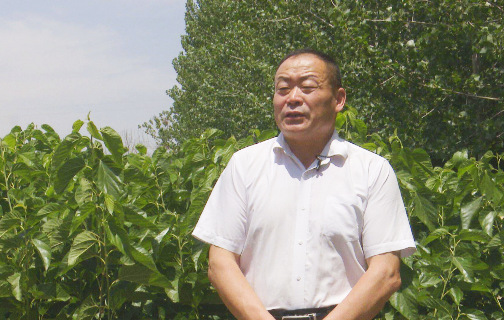 微信图片_20250616184755