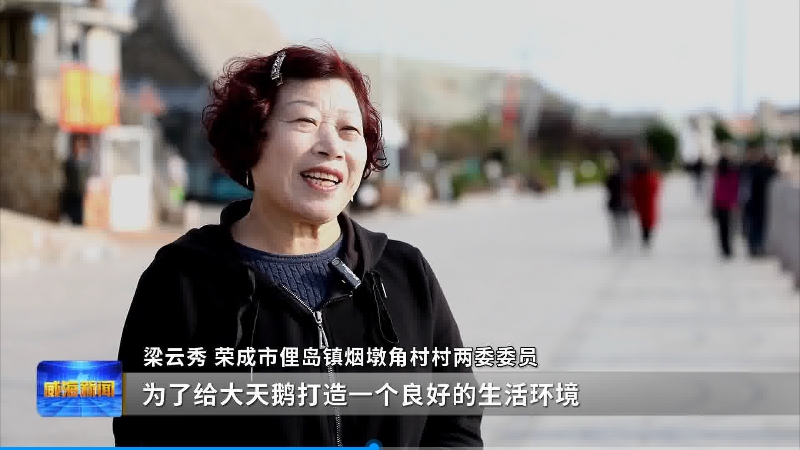 微信截图_20241118185446