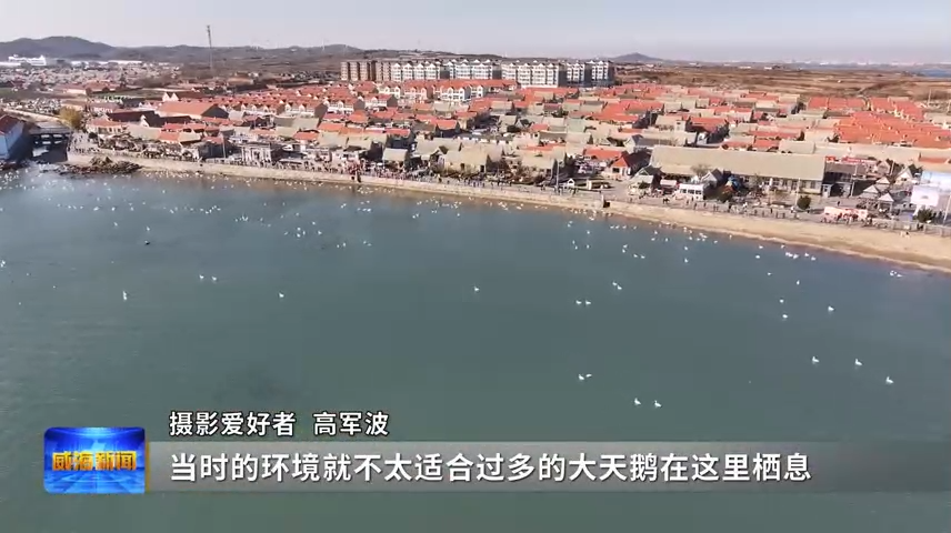 烟墩角[00_01_55][20250101-174840]