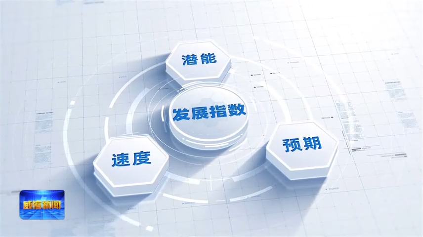 一季报[00_00_26][20250510-155059]