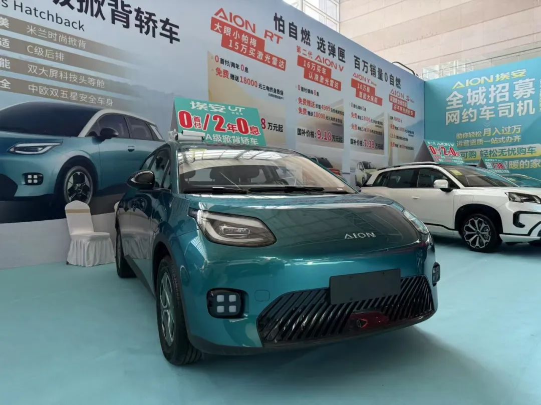 鹦鹉龙.jpg