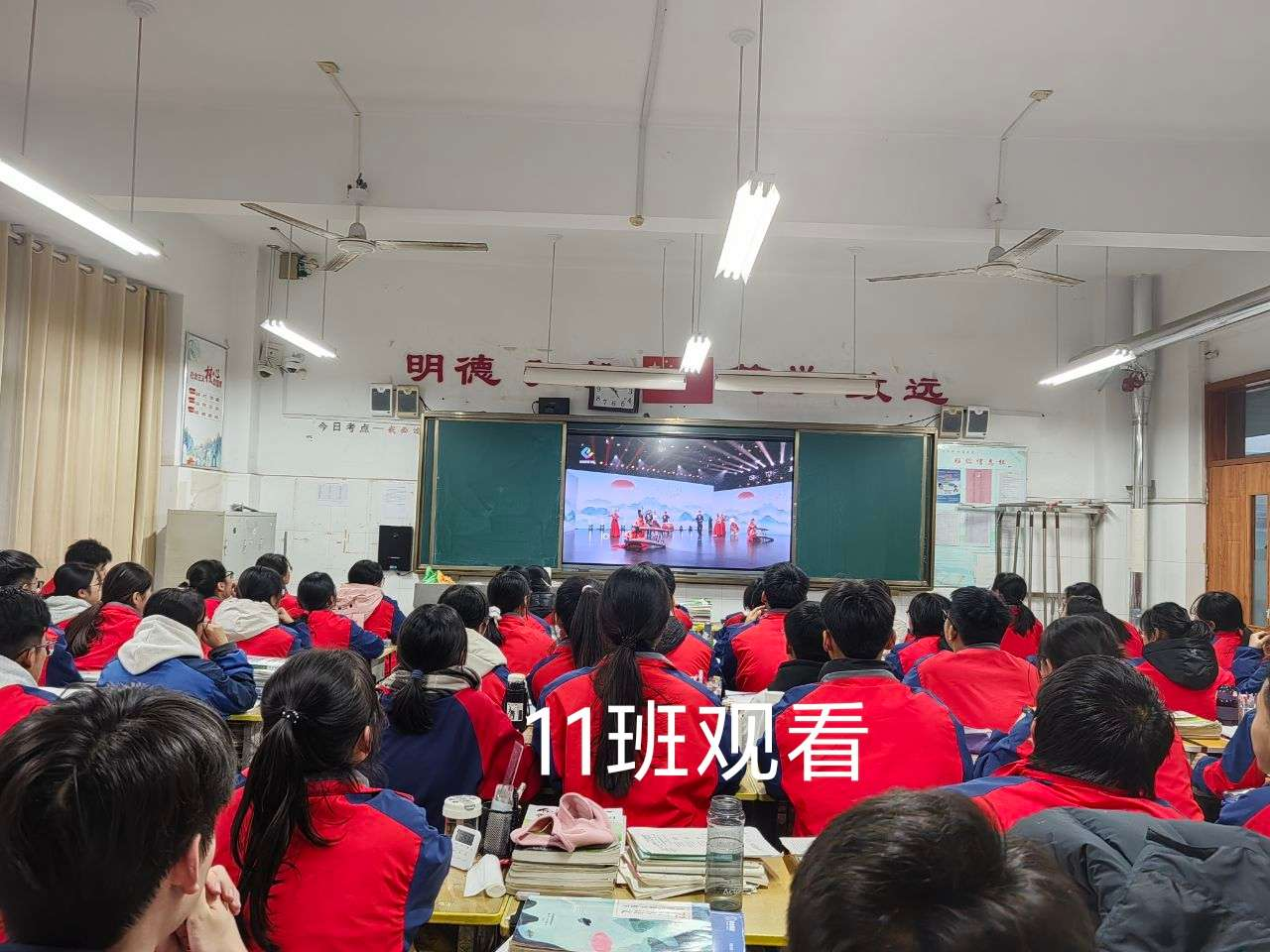 图片15